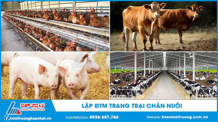 Lập ĐTM trang trại chăn nuôi