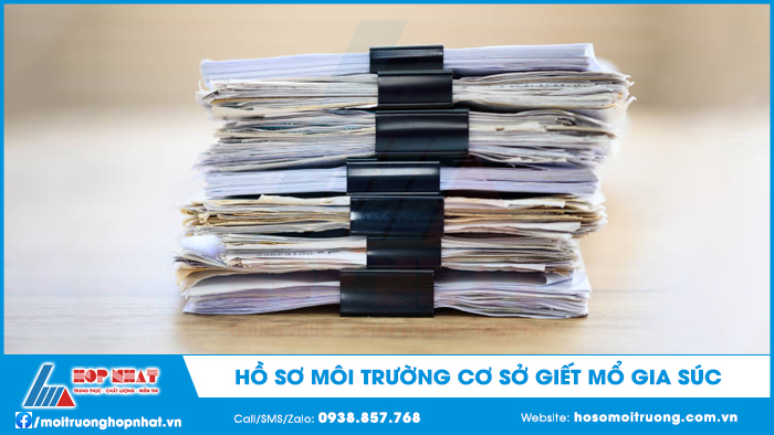 Hồ sơ môi trường cơ sở giết mổ gia súc