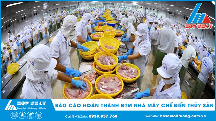 Báo cáo hoàn thành ĐTM nhà máy chế biến thủy sản