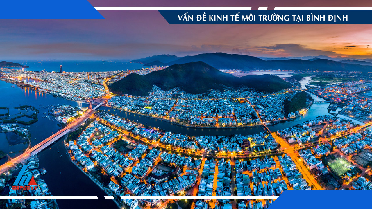 Vấn đề kinh tế môi trường ở Bình Định