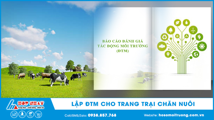 Lập ĐTM trang trại chăn nuôi