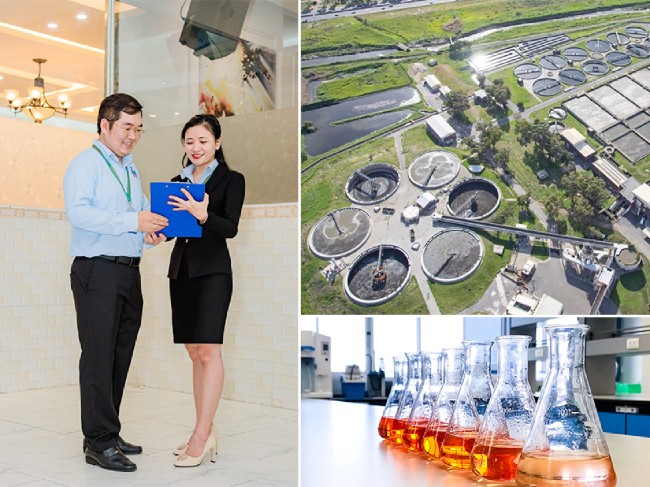 Báo Bình Định viết về Môi Trường Hợp Nhất