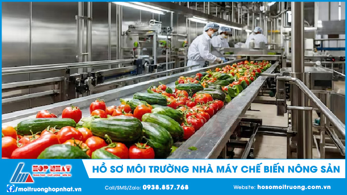 Hồ sơ môi trường nhà máy chế biến nông sản