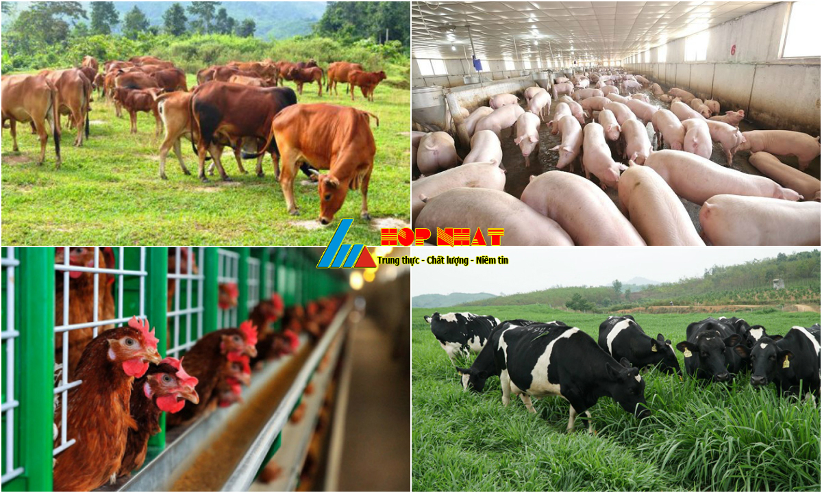 Lập kế hoạch bảo vệ môi trường